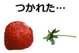 Strawberry! sticker #15596117