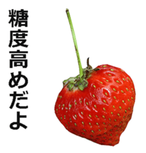 Strawberry! sticker #15596120