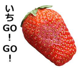 Strawberry! sticker #15596131