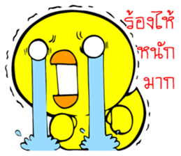 Chicha funny duck V2 sticker #15600047