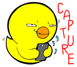 Chicha funny duck V2 sticker #15600050