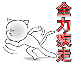 Wise remark cat 5 sticker #15600136