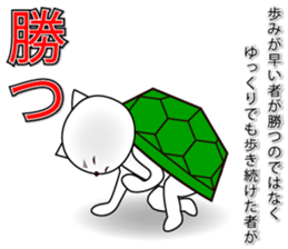 Wise remark cat 5 sticker #15600145