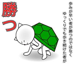 Wise remark cat 5 sticker #15600145