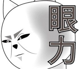 Wise remark cat 5 sticker #15600148