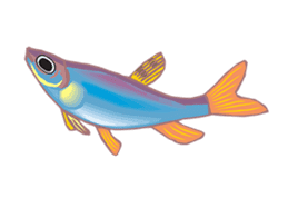 Happy Fish! sticker #15600155