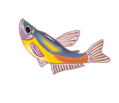 Happy Fish! sticker #15600156