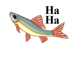 Happy Fish! sticker #15600158