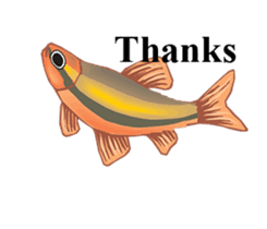Happy Fish! sticker #15600164