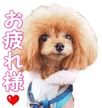 fanchocorin0 sticker #15600978