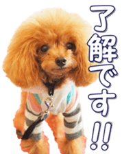 fanchocorin0 sticker #15600980