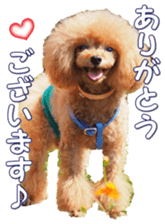 fanchocorin0 sticker #15600981