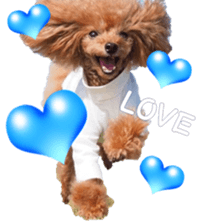 fanchocorin0 sticker #15600984