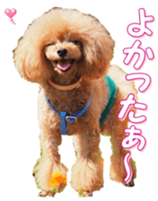 fanchocorin0 sticker #15600985