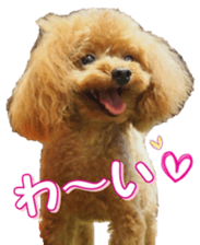 fanchocorin0 sticker #15600986