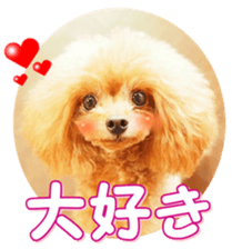 fanchocorin0 sticker #15600988