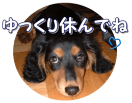 fanchocorin0 sticker #15600991