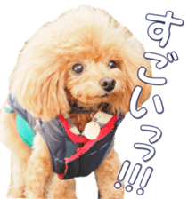 fanchocorin0 sticker #15600992