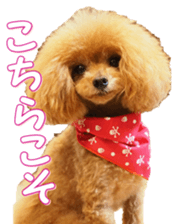 fanchocorin0 sticker #15600993