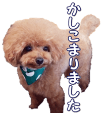 fanchocorin0 sticker #15600994