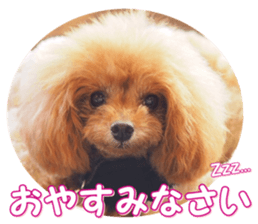 fanchocorin0 sticker #15600995