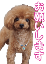 fanchocorin0 sticker #15600996