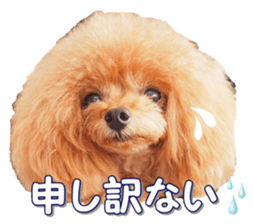 fanchocorin0 sticker #15600997