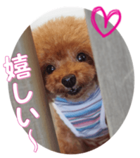 fanchocorin0 sticker #15600998