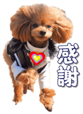 fanchocorin0 sticker #15601000