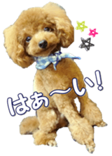 fanchocorin0 sticker #15601001