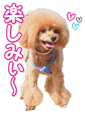 fanchocorin0 sticker #15601003