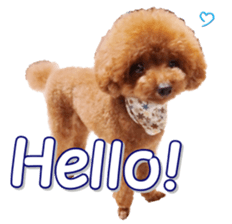 fanchocorin0 sticker #15601004