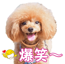 fanchocorin0 sticker #15601005