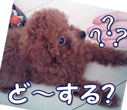 fanchocorin0 sticker #15601006