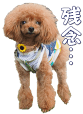 fanchocorin0 sticker #15601007