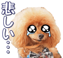 fanchocorin0 sticker #15601008