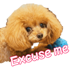 fanchocorin0 sticker #15601009