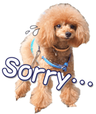 fanchocorin0 sticker #15601010