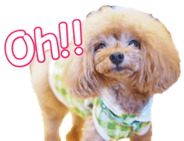 fanchocorin0 sticker #15601013