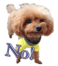 fanchocorin0 sticker #15601015