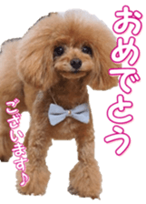 fanchocorin0 sticker #15601016