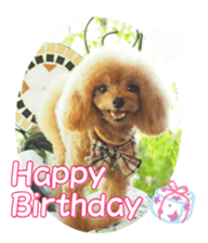 fanchocorin0 sticker #15601017