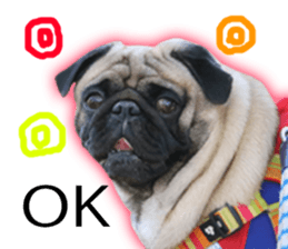 BOSS&PAGUMI Sticker sticker #15602100