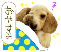 Miniature dachshund is Clarice. sticker #15603097