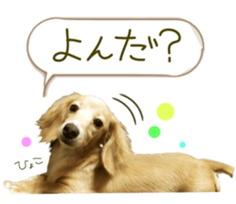 Miniature dachshund is Clarice. sticker #15603104