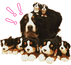 BerneseFan sticker #15603393