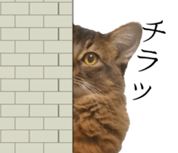 -Live action version-Somari no Gachan sticker #15604714