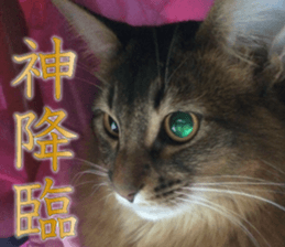 -Live action version-Somari no Gachan sticker #15604715