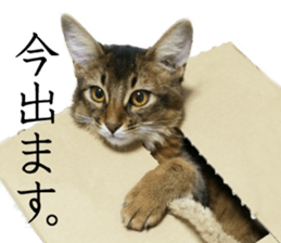 -Live action version-Somari no Gachan sticker #15604717