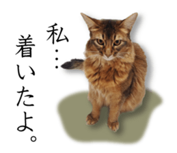 -Live action version-Somari no Gachan sticker #15604718